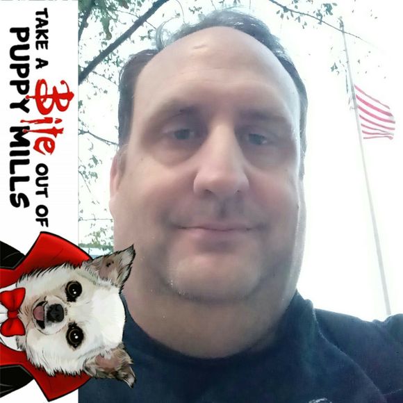 Meet your Posher, John - Picture 1 of 1